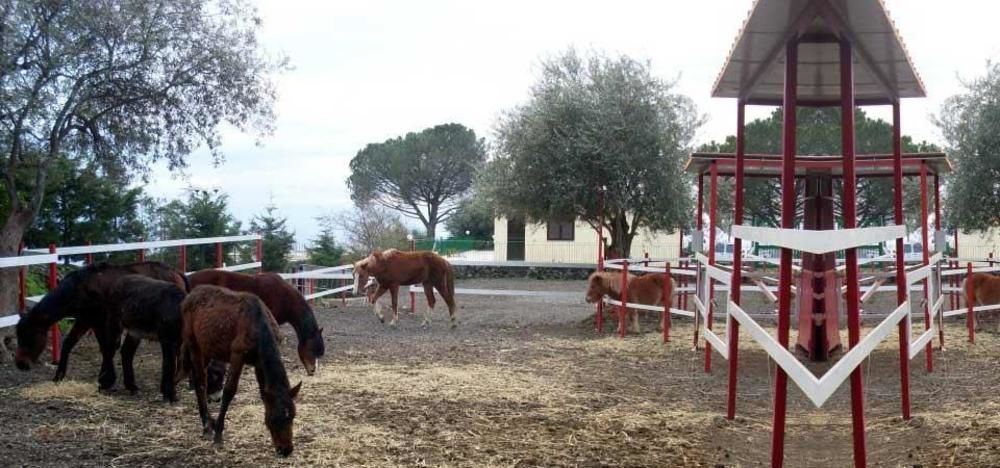 Hotel Ore Felici Park Mascali Exteriér fotografie